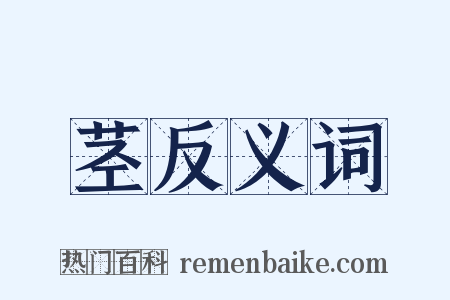 茎反义词是什么意思的图片